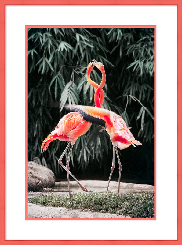 Frame Pink Flamingo
