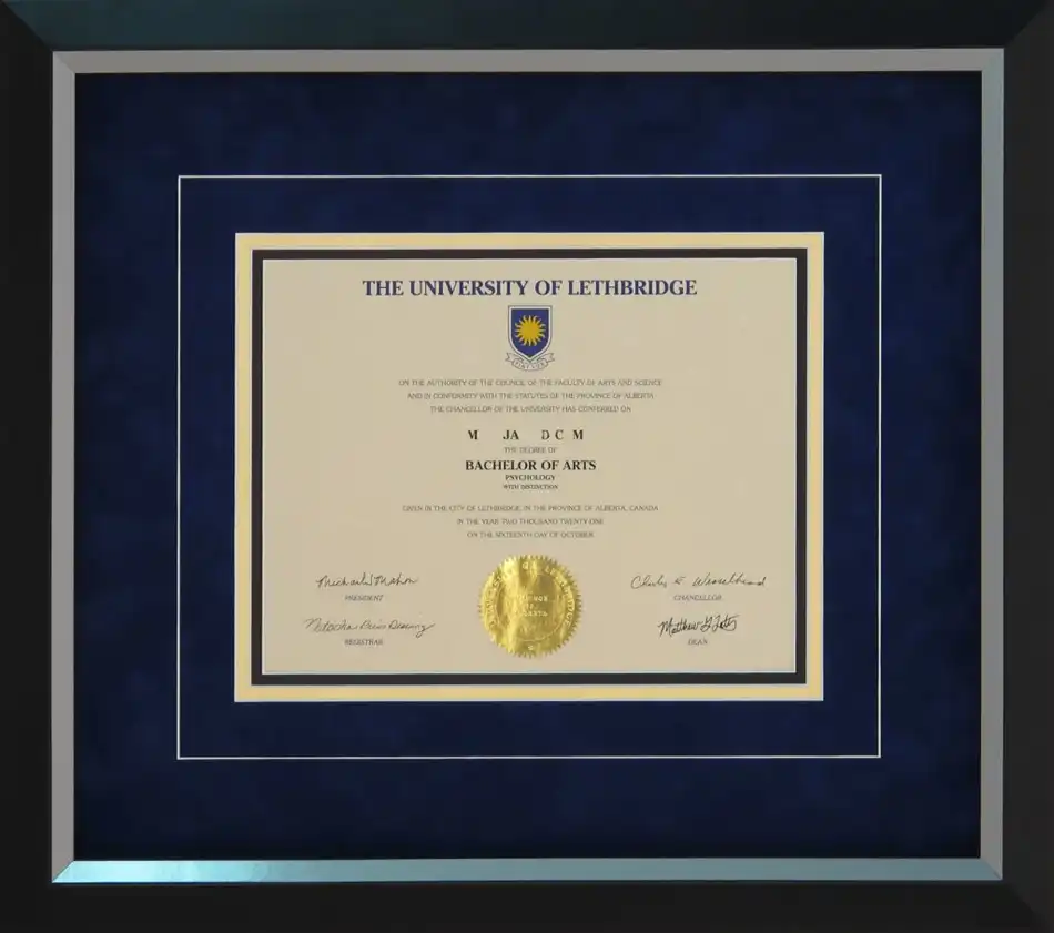 Certificate Diploma Degree Document License Custom Framing